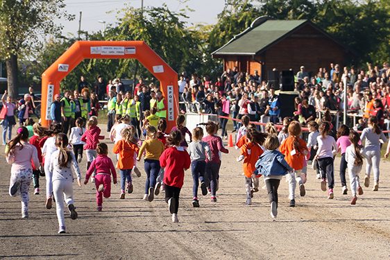 KROS RTS-SOMBOR (3)